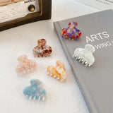 Mini Hair Claws Acetate Clips for Women