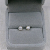 5.5mm Freshwater Pearl Silver Stud Earrings