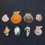 Shell Gilded Conch Pendant DIY Necklace Earrings Charm