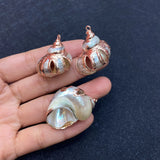 Shell Gilded Conch Pendant DIY Necklace Earrings Charm