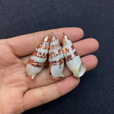 Shell Gilded Conch Pendant DIY Necklace Earrings Charm