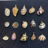 Shell Gilded Conch Pendant DIY Necklace Earrings Charm