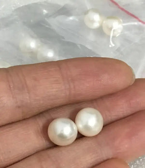 Gray Freshwater Pearl Earring 10-11mm Oblate