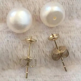 Gray Freshwater Pearl Earring 10-11mm Oblate