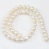 Gray Freshwater Pearl 9-10mm Loose Pearl Jewelry
