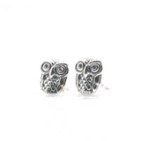 Unisex 925 Silver Owl Studs Earrings with Clean Stone Eye
