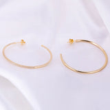 18K Gold-Plated CZ Hot Party Wedding Earrings