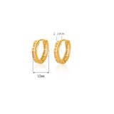 VENTFILLE 925 Sterling Silver Hoop Earrings Roman Numeral