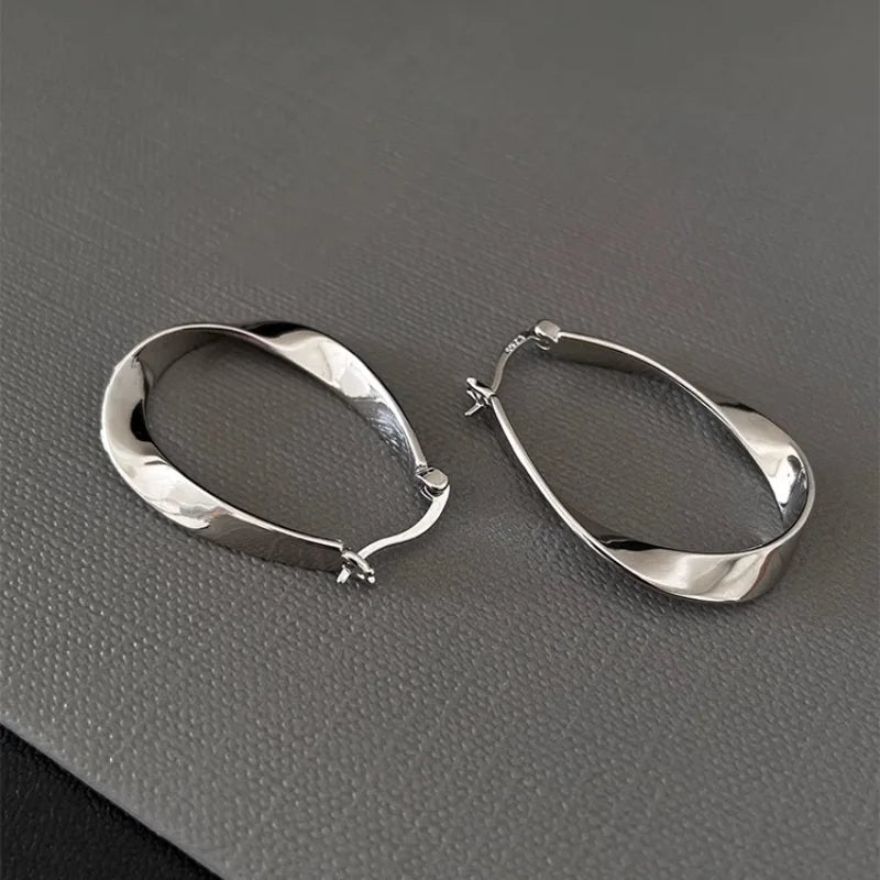 925 Sterling Silver Line Earring for Women Girl Office Versatile Jewelry
