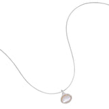 925 Silver Shell Necklace Snake Bone Chain Water Drop Jewelry