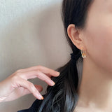 Sterling Silver Zircon Circle Earrings Geometric Jewelry