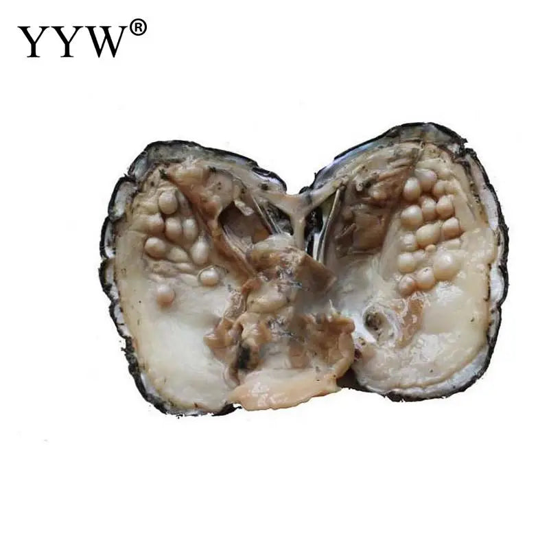 Vacuum Pack Oyster Wish Freshwater Pearl Mussel Shell With Pearl