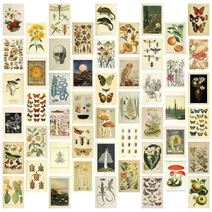 Botanical Cottagecore Collage Art Posters - 50 Mini Posters for Photo Wall