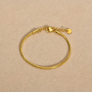 2mm Thin Snake Chain Bracelet for Women Girls, Stainless Steel Wristband Jewelry