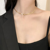 Adjustable Snake Chain Necklace for Women, Stainless Steel Choker Collar