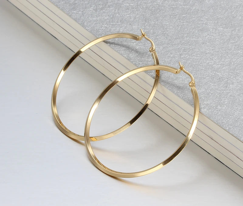 Large Hoop Earrings for Women, Stainless Steel Round Ear Gift Jewelry