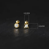 925 Silver Star Zircon Earrings for Women