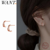 925 Silver Geometric Double Zircon Stud Earrings for Women