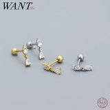 925 Silver Water Drop Zircon Stud Earrings for Women