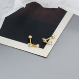 925 Silver Water Drop Zircon Stud Earrings for Women