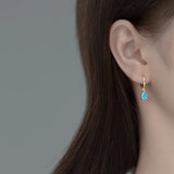 925 Silver Geometric Zircon Pendant Earrings for Women
