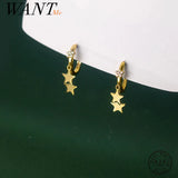925 Silver Star Zircon Tassel Pendant Earrings for Women