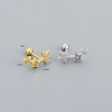925 Silver Star Zircon Stud Earrings Women Teen Party Piercing Jewelry