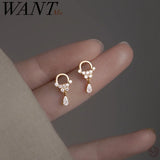 925 Silver Zircon Water Drop Earrings Wedding Jewelry