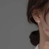 925 Silver Zircon Water Drop Earrings Wedding Jewelry