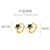 925 Sterling Silver Zircon Star Studs Earrings for Women
