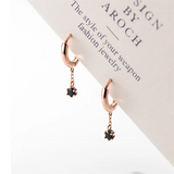 925 Silver Zircon Tassel Stud Earrings for Women