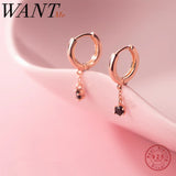 925 Silver Zircon Tassel Stud Earrings for Women
