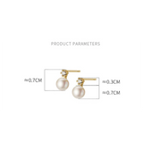 925 Silver Zircon Pearl Small Stud Earrings for Women