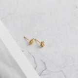 925 Silver Zircon Light Stars Stud Earrings for Women