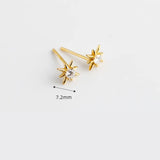 925 Silver Zircon Light Stars Stud Earrings for Women