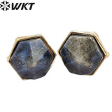 WKT-E700 Noble Women Earrings Gold-Plated Natural Gemstone Jewelry