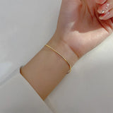 925 Silver Snake Bone Chain Bracelet Women European Hip Hop Jewelry