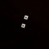 925 Sterling Silver Zircon Flower Stud Earrings for Women