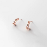 Punk Zircon Stud Earrings 925 Sterling Silver Jewelry Gift
