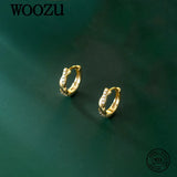 925 Silver Twist Zircon Hoop Earrings for Women Party Jewelry Gift