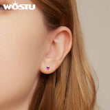 925 Silver Candy Heart Stud Earrings Cube Zircon Jewelry