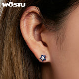 925 Silver Mini Star Stud Earrings Zircon Ear Studs Wedding Jewelry