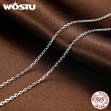 925 Silver Long Chain Necklace for Women S925 Jewelry