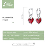 925 Silver Lover Hoop Earrings CTE484