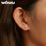 925 Silver Multicolor Zircon Paws Stud Earrings Rainbow S925 Ear Studs FIE1334