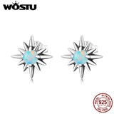 925 Silver Opal Star Zircon Stud Earrings for Women