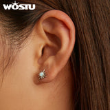 925 Silver Opal Star Zircon Stud Earrings for Women