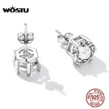 925 Silver Zircon Stud Earrings Wedding Jewelry CTE615