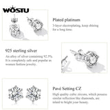 925 Silver Zircon Stud Earrings Wedding Jewelry CTE615