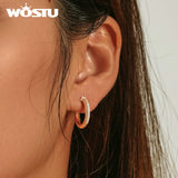 925 Silver Zircon Stud Earrings Sparkling Shining Women Party Jewelry